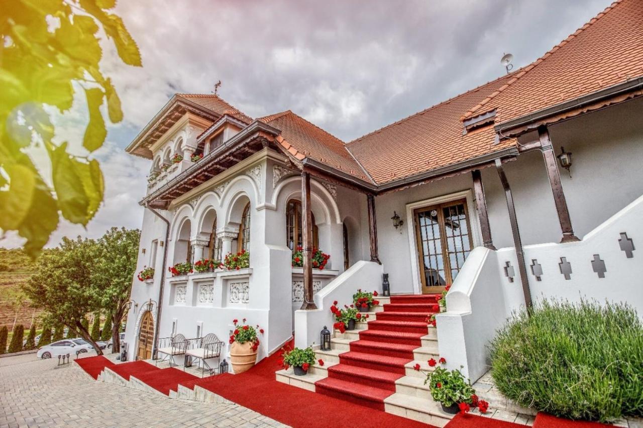 Casa Timis - Wellness & Spa Resort Chitorani Eksteriør billede The entrance of the winery